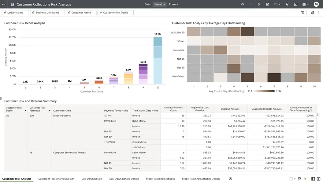 Customer Risk Analysis section view