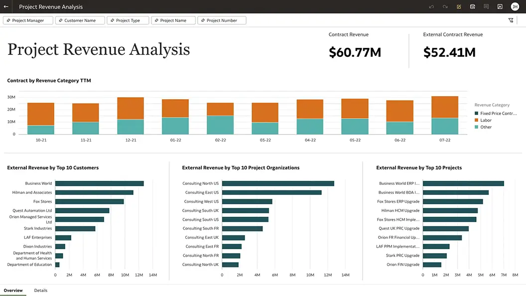 Project Revenue Analysis view