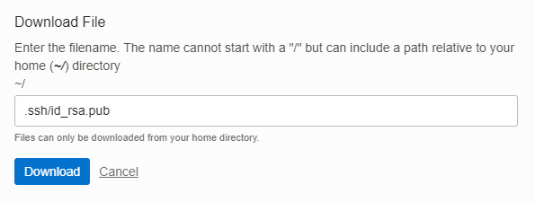 云 shell 下载的屏幕截图