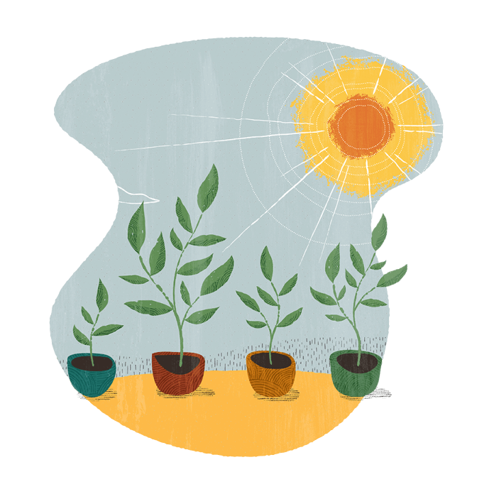 Cas d’utilisation d’Oracle Exadata Database Cloud@Customer