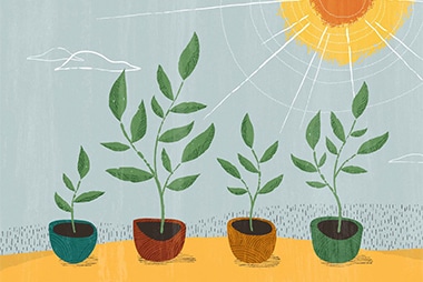 image of plant growth