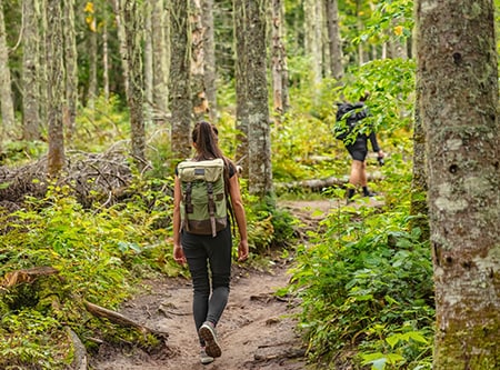 deloitte-sostenibilidad-transformación